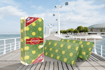 Đệm bông ép Nano Queen 100x190x5cm