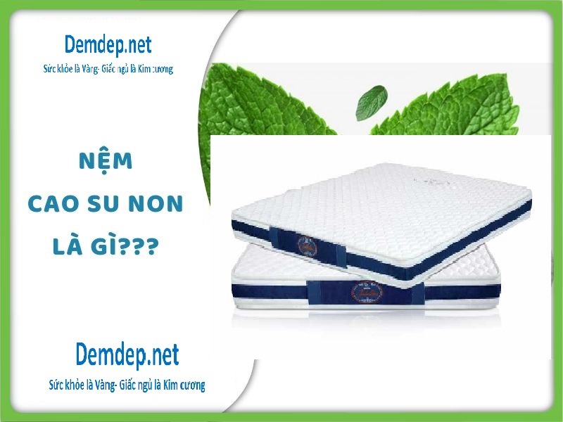 Đệm cao su - Demdep.net